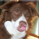 Cooper was adopted in May, 2006